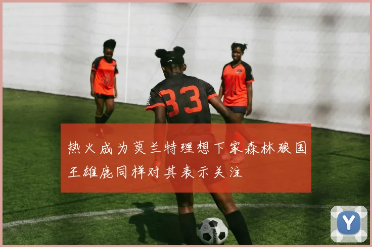 热火成为莫兰特理想下家森林狼国王雄鹿同样对其表示关注